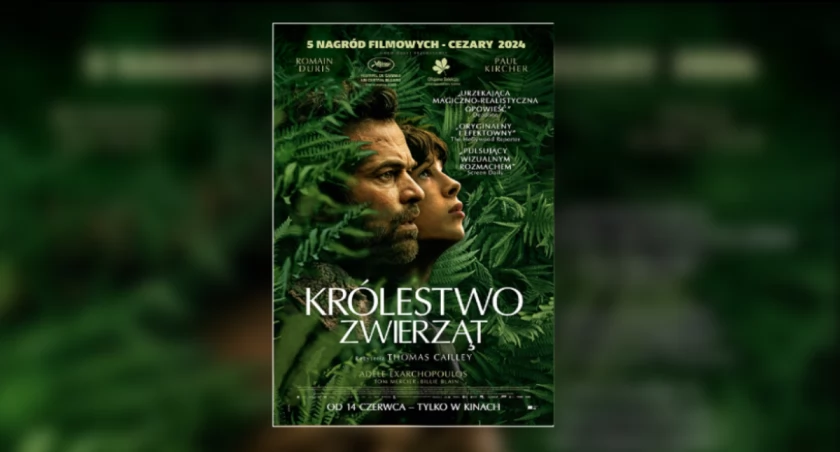 Te filmy od piątku w repertuarze NK Przedwiośnie 