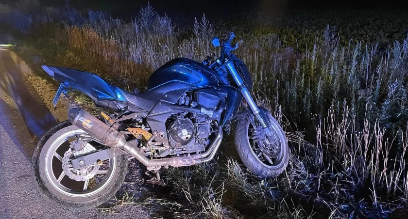 W Białkowie motocyklista zderzył się z sarną [ZDJĘCIA] 