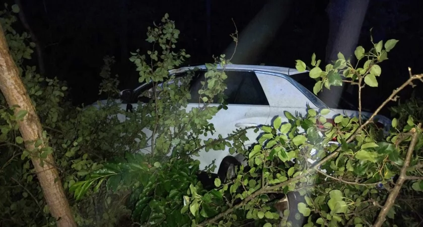 Wypadek w Popłacinie. Volkswagen uderzył w drzewo. Nie żyje 28-letni pasażer [ZDJĘCIA] 