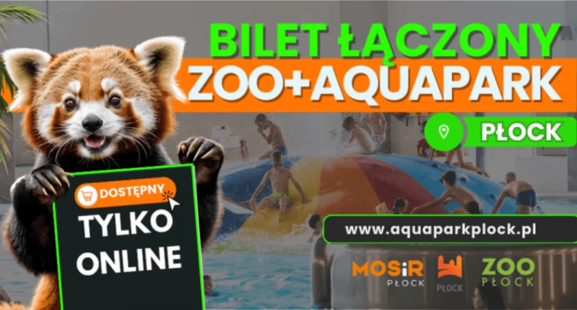Jeden bilet – dwa miejsca. Odwiedź płockie atrakcje. Ile to kosztuje?