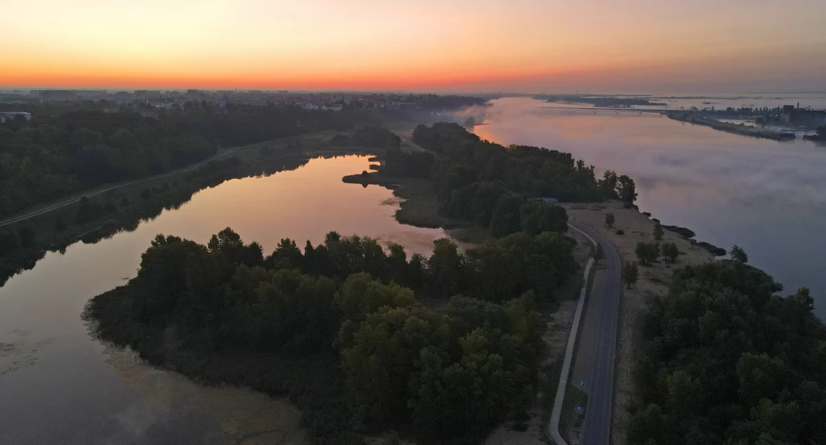 Zakaz kąpieli na Sobótce w Płocku. Śnięte ryby i zanieczyszczenia woda