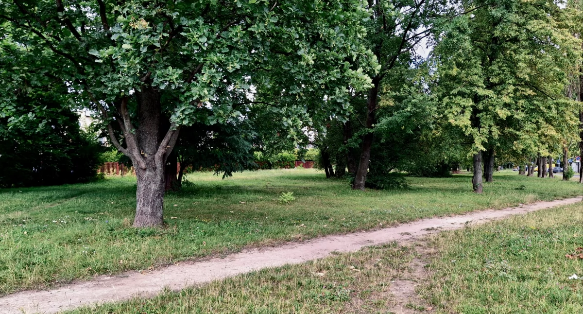 Na jakie parki i miejsca zieleni mogą liczyć płocczanie w najbliższych latach?