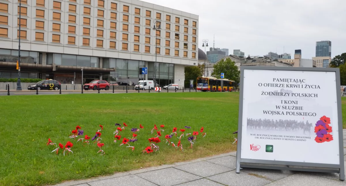 Maki powróciły na plac! Ta sytuacja daje wiele do myślenia 