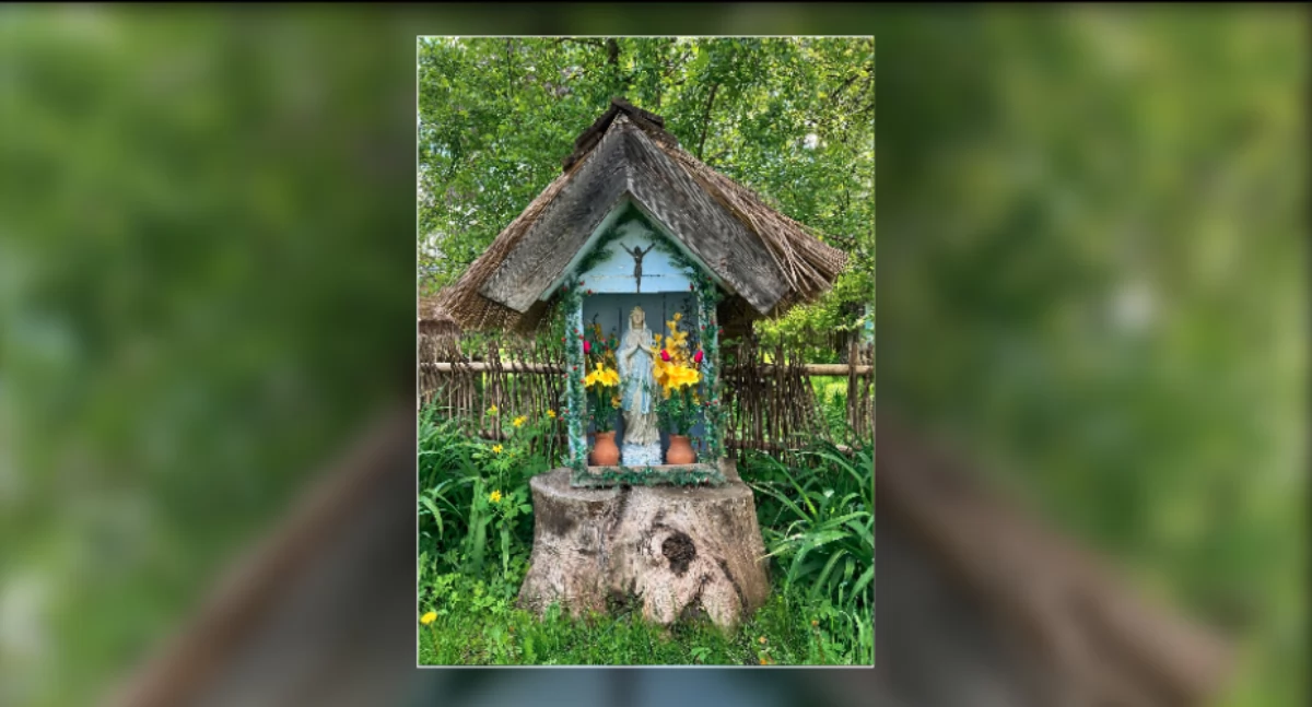 Otwarcie wystawy fotograficznej w TNP