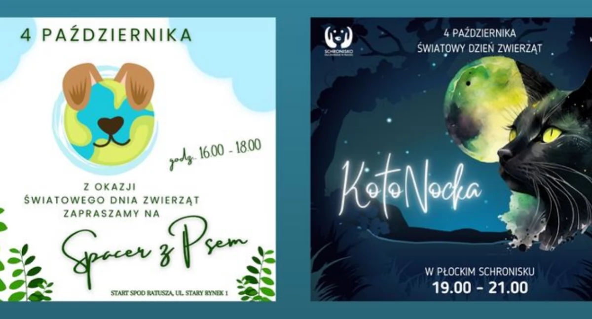 Co wybierzesz w najbliższy piątek? KotoNockę czy spacer z psami po Płocku?