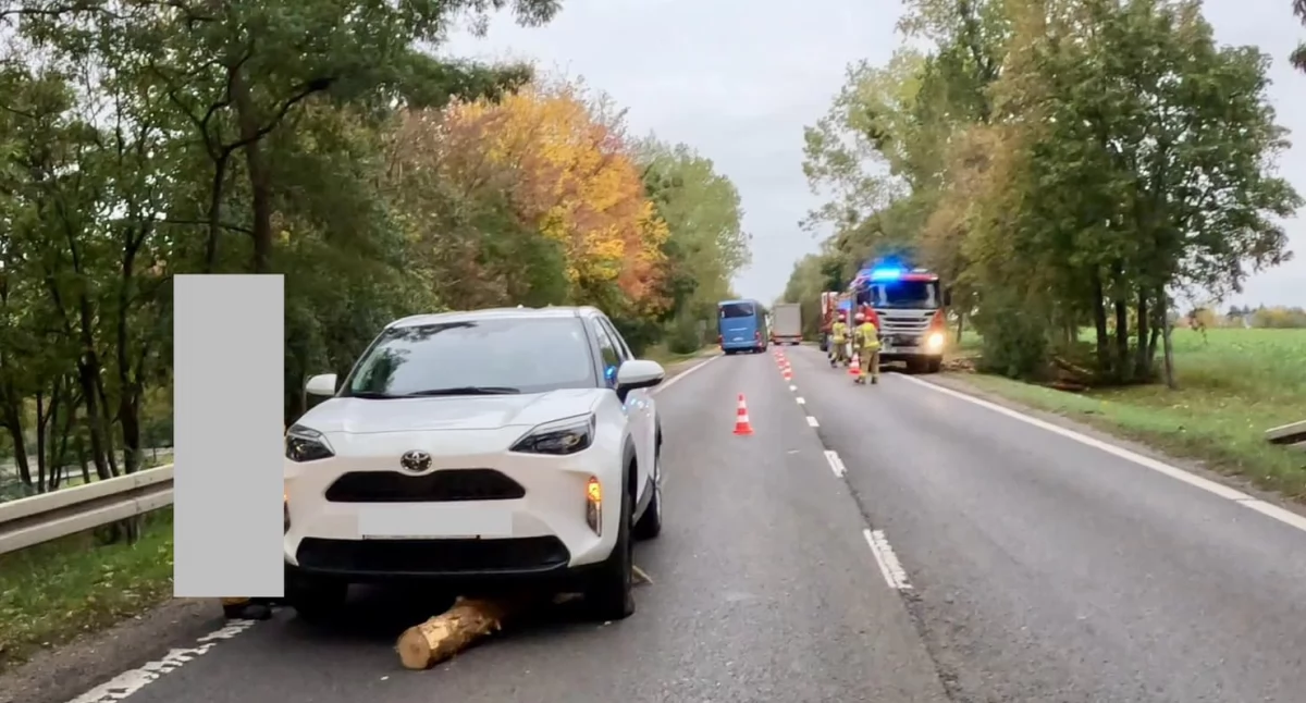 Drewno spadło z naczepy na ruchliwej drodze na wyjeździe z Płocka. To mogło skończyć się tragicznie 