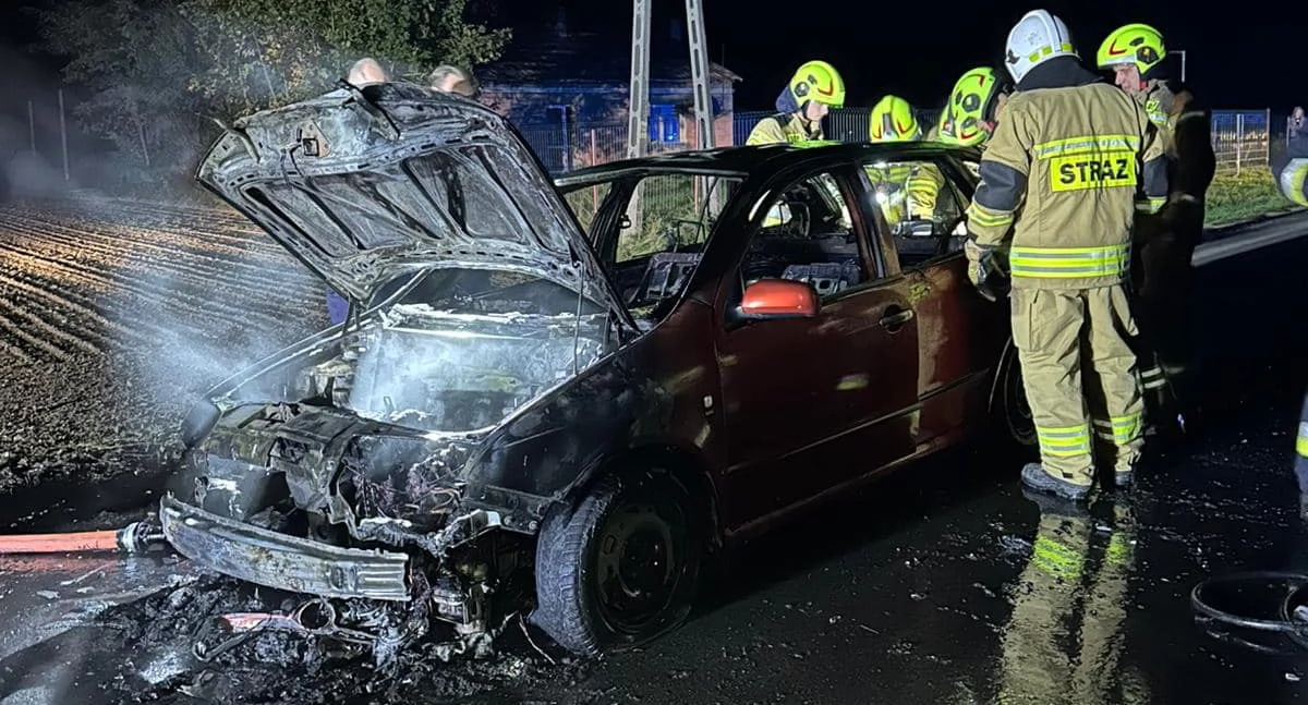 Pod Płockiem spłonął samochód. Wezwano strażaków i policję [ZDJĘCIA]