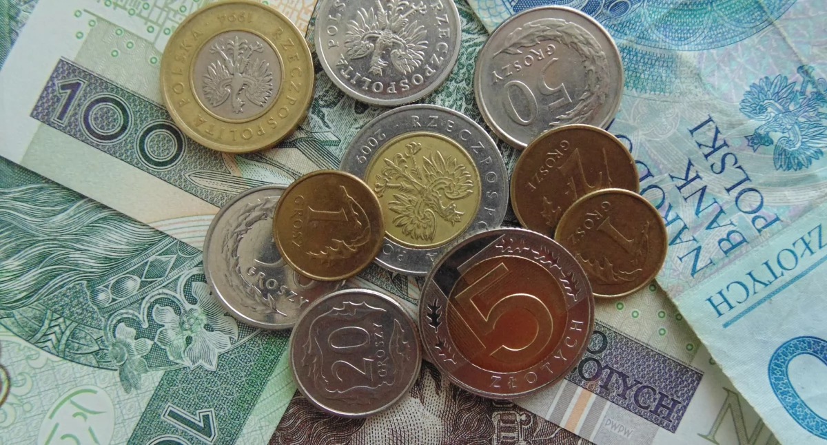 W Płocku rodzice złożyli już setki wniosków. Kiedy pierwsze wypłaty?