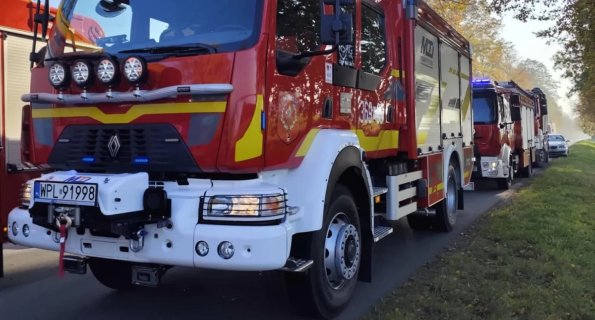 Jaką szansę ma Dacia wymuszająca pierwszeństwo Scanii? Starcie na drodze w Giżynie pod Płockiem
