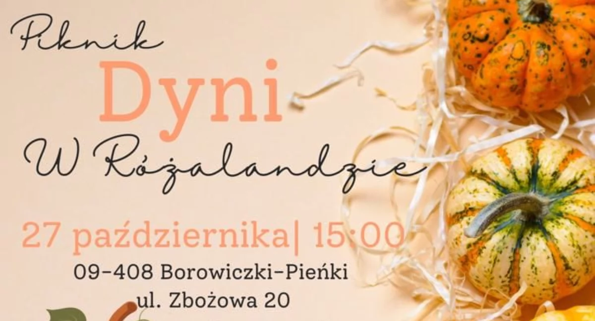 Piknik Dyni w Różalandzie. Już w niedzielę w Borowiczkach -Pieńkach pod Płockiem