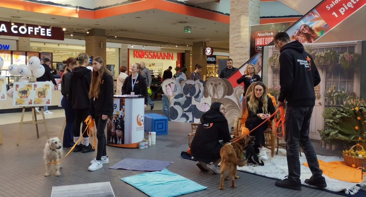 Tak świętowaliśmy Dzień Kundelka w Płocku! Pieska sobota w galerii Wisła [ZDJĘCIA] 