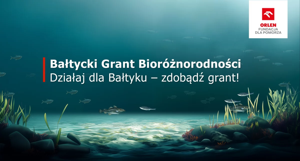 Nowy program grantowy Fundacji ORLEN dla Pomorza. Wesprze działania proekologiczne w Morzu Bałtyckim