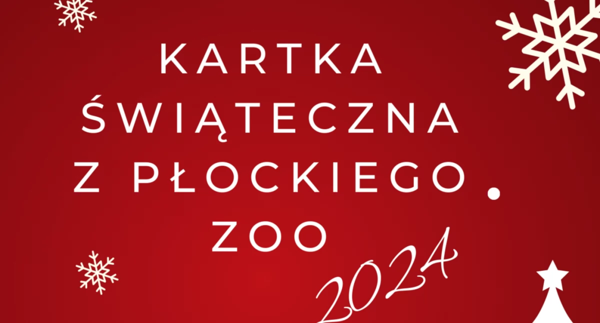 ZOO w Płocku ogłosiło konkurs. Czeka na wasze pomysły na kartki świąteczne!