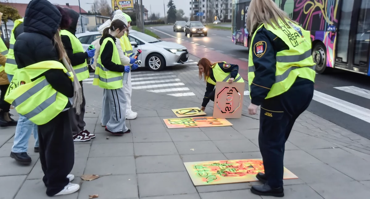 Tajemnicze obrazki pojawiają się w Płocku przy przejściach dla pieszych. Czyja to sprawka? [ZDJĘCIA]