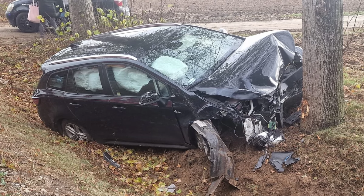 Utrudnienia na DK 60 w Brzechowie, gm. Drobin. Samochód zatrzymał się na drzewie [ZDJĘCIA]