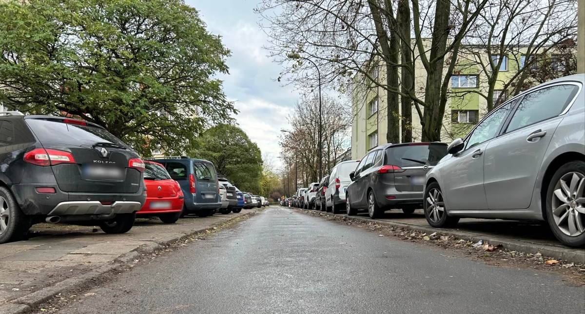 W Płocku coraz trudniej zaparkować. Czy w mieście jest miejsce dla wszystkich kierowców?