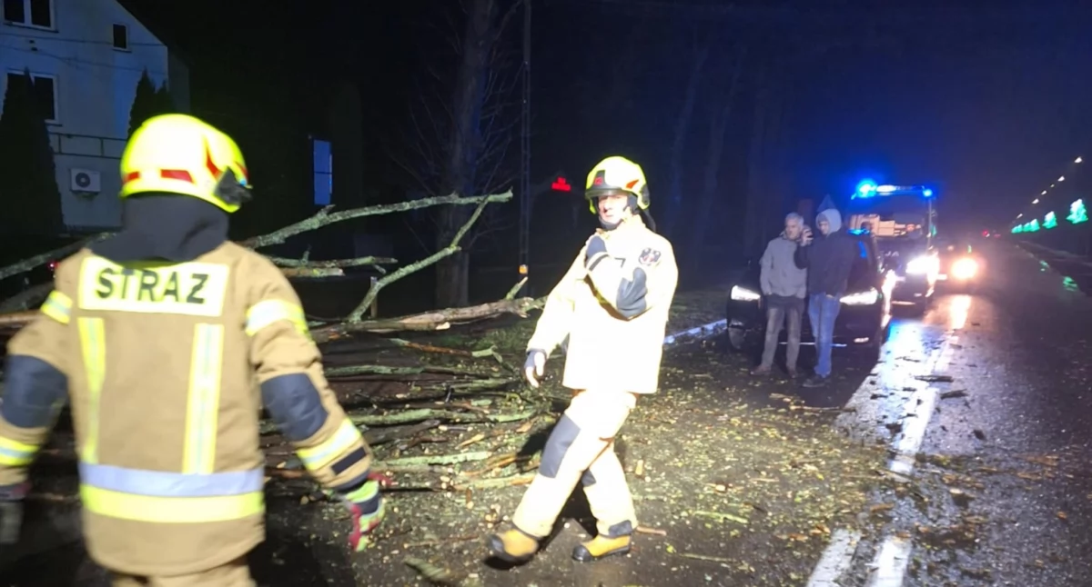 To będzie niebezpieczna noc w Płocku i powiecie płockim. Drzewo przewróciło się na samochód.