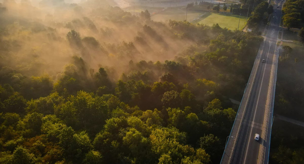 Płock: Ostrzeżenie przed gęstą mgłą – widzialność poniżej 200 metrów!