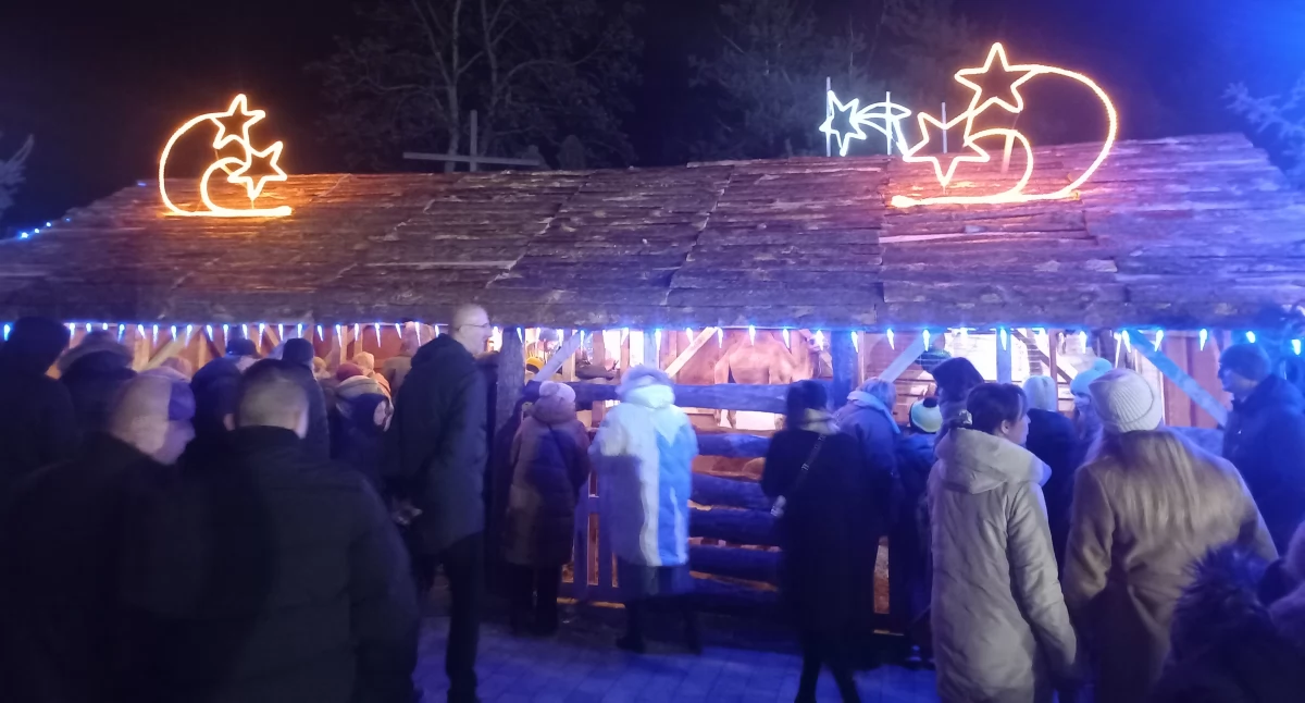 Żywa szopka w Proboszczewicach. Zwierzaki czekają na odwiedzających [ZDJĘCIA]