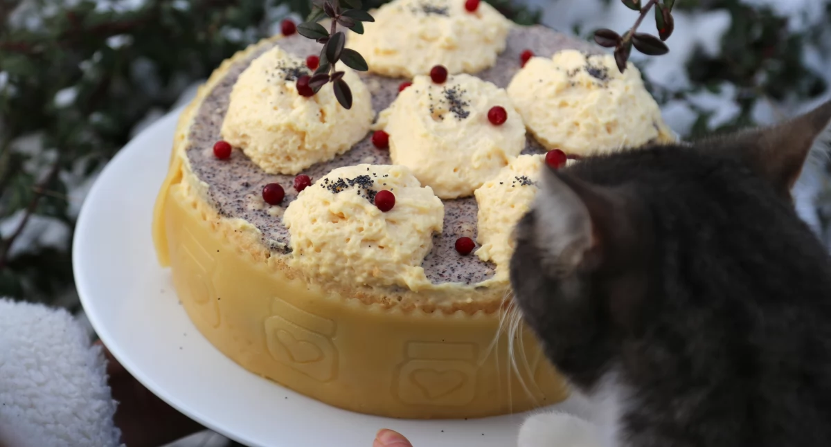 Przepisy kulinarne Izabeli Chudzyńskiej. Makowy tort