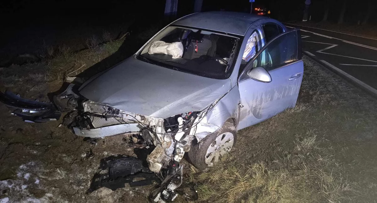 Dachowanie przez sarnę. Wypadek w okolicy Sikorza [ZDJĘCIA]