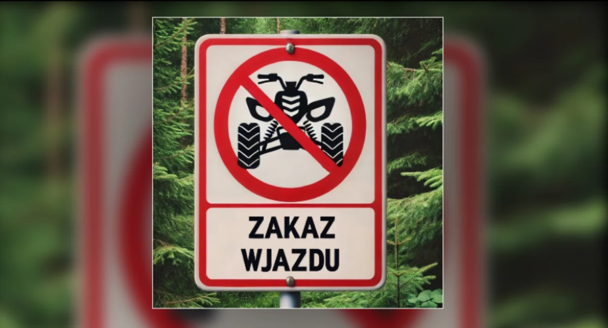 Będą szukać winnych! Quady, motocykle i terenówki niszczą lasy wokół Gostynina