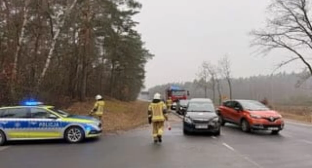 3 samochody zderzyły się pod Płockiem. 4 osoby w szpitalu  