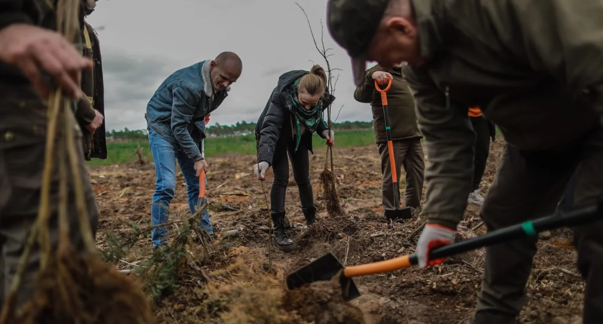Dzień lasów w powiecie płockim. Więcej drzew w gminie Mała Wieś