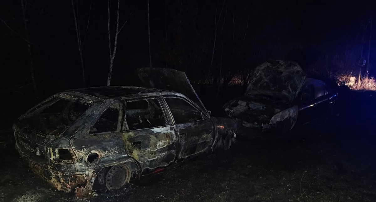 Zapłonęły samochody. O północy w gm. Brudzeń Duży wezwano policjantów i strażaków