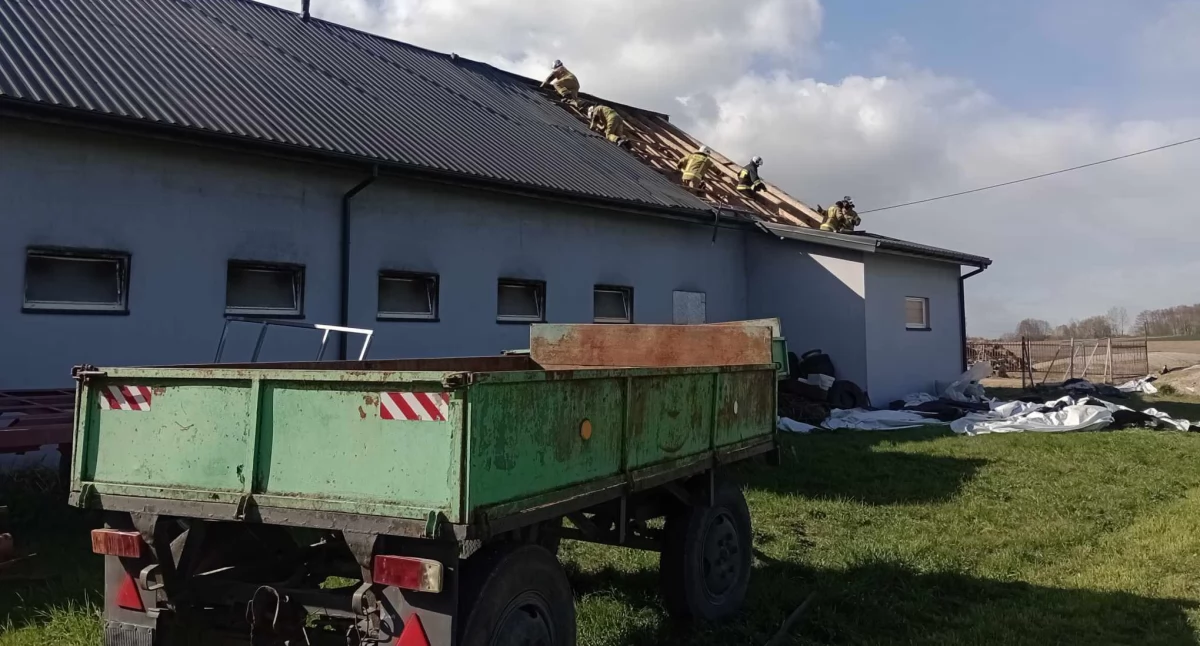 Zerwane dachy, powalone drzewa. Niebezpieczna sobota w powiecie płockim [ZDJĘCIA]