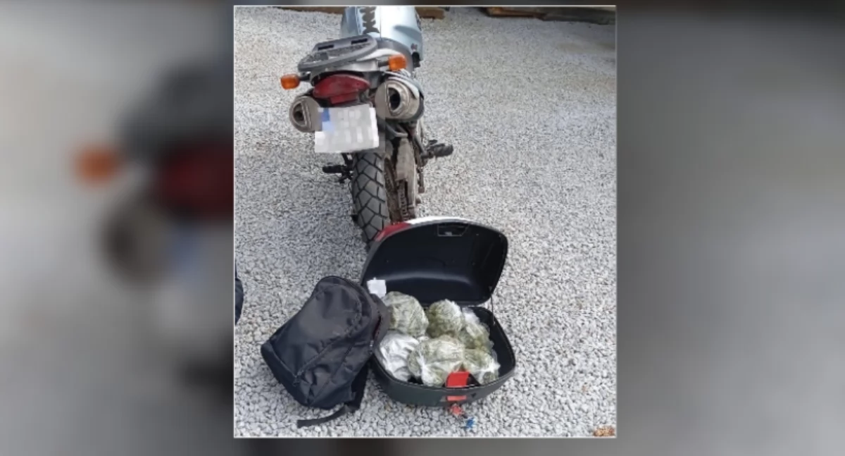 Znaleźli 19 kg narkotyków w Białobrzegach! Właściciel plantacji oraz motocyklista zatrzymani