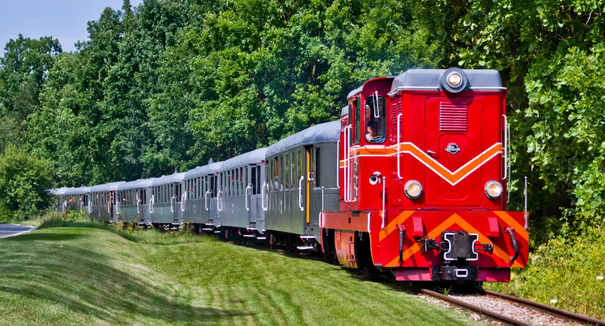 Wyrusz w niezwykłą podróż pociągiem Retro i… Odkryj sochaczewską kolej wąskotorową!