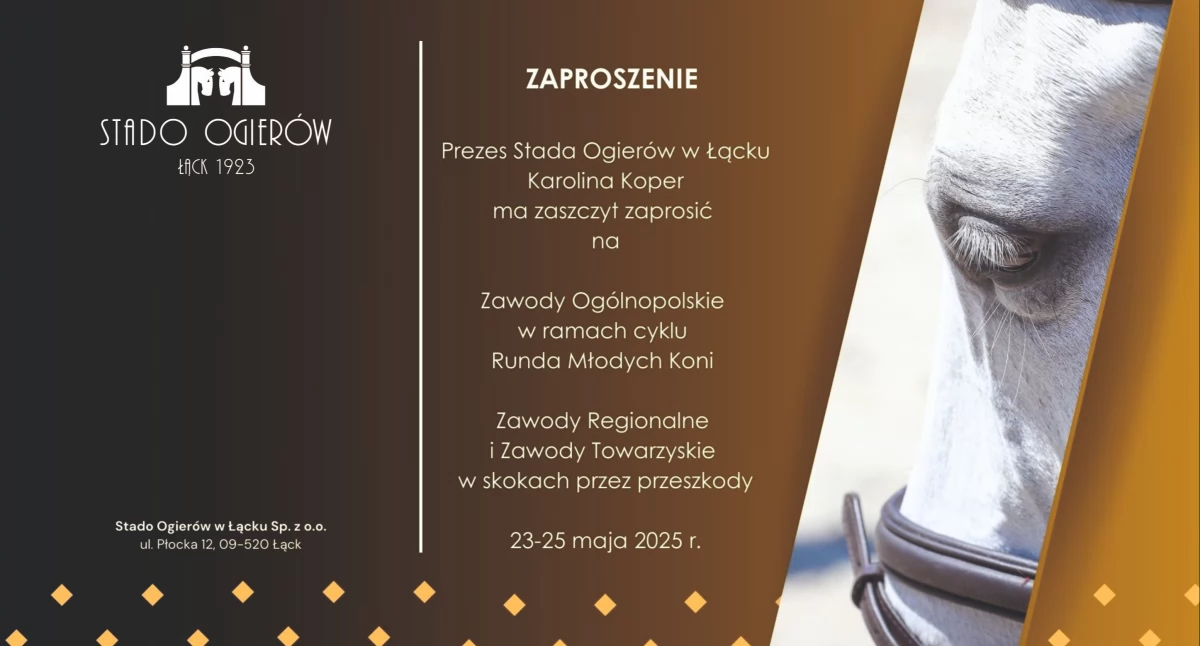 Pod Płockiem już w ten weekend będzie można podziwiać widowiskowe zawody. Stado Ogierów w Łącku zaprasza