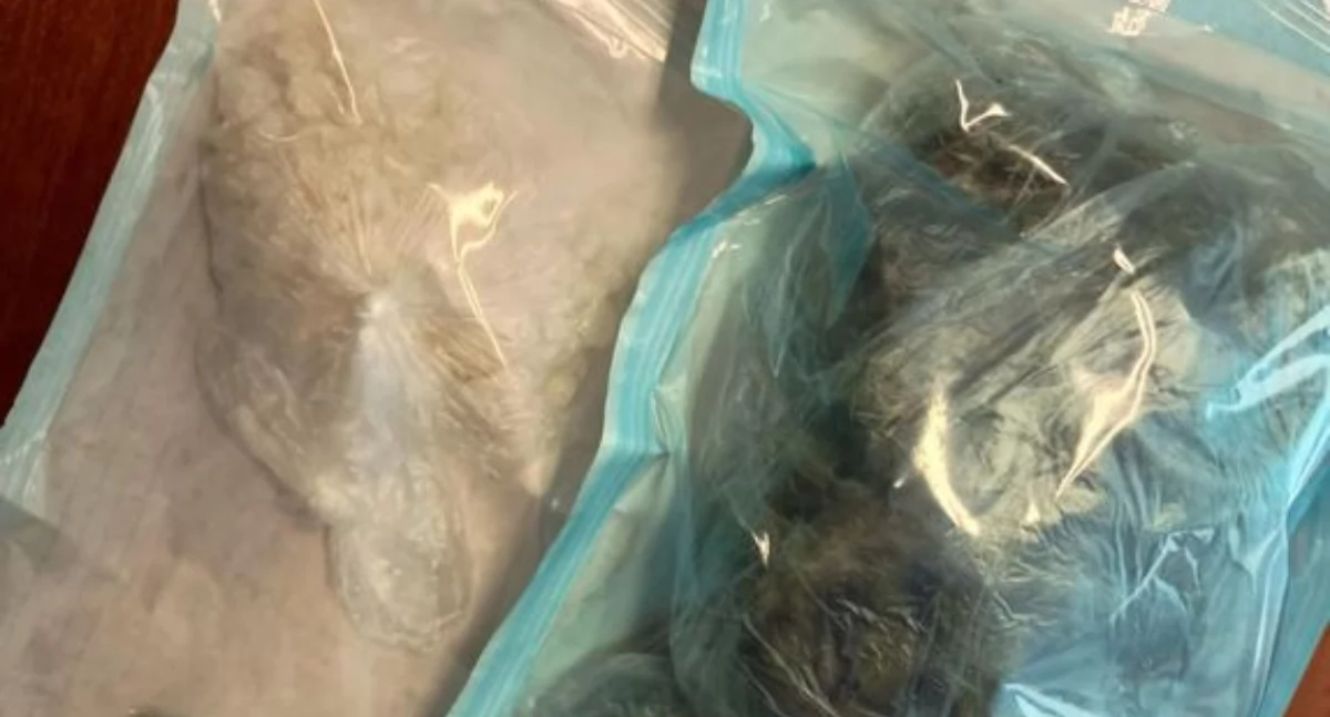 Mefedron i marihuana w hyundaiu. Podejrzenia płockich policjantów okazały się słuszne