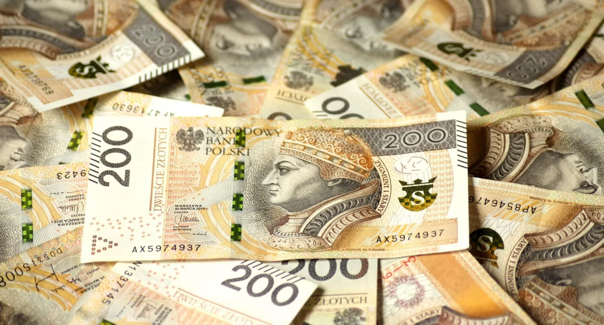 Płock. Ile „na koncie” mają zarządzający prastarą stolicą Mazowsza? Wiceprezydent, skarbnik, sekretarz…