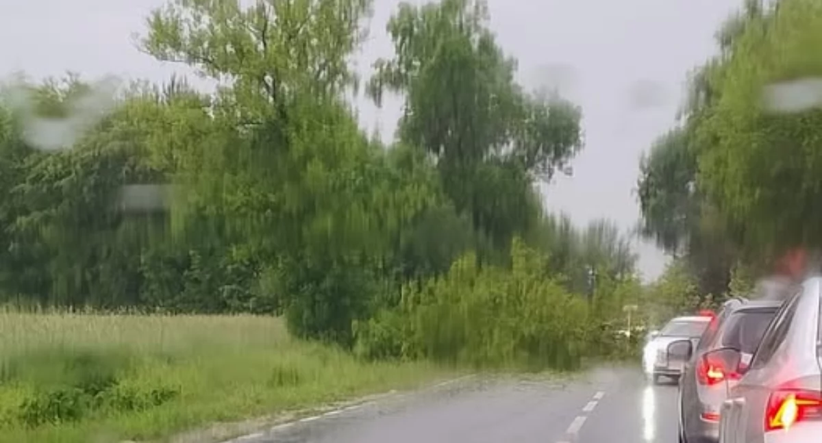 3 zerwane dachy, powalone na drogach drzewa. Ciężki poranek dla strażaków w Płocku i powiecie płockim [AKTUALIZACJA]