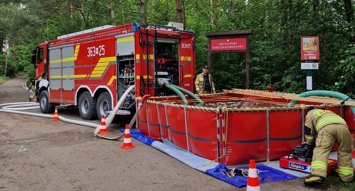 Akcja w lasach pod Płockiem. Strażacy skutecznie połączyli swoje siły 