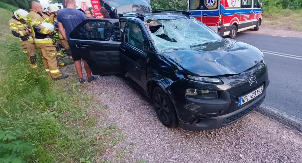 Ruch wahadłowy na DK-62 w Słupnie. Zderzenie z łosiem 