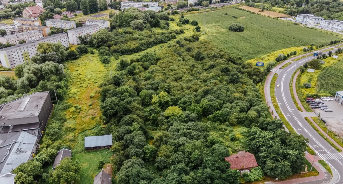 W Płocku powstaną kolejne parki. Na osiedlach Międzytorze i Imielnica