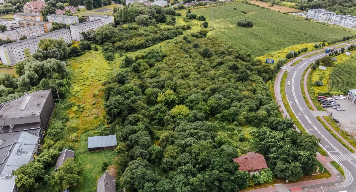 Parków nigdy dość! W dawnej stolicy Mazowsza powstaną 2 kolejne. Na Międzytorzu i w Imielnicy