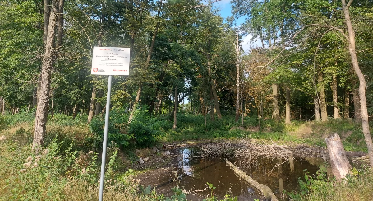 Spacerkiem przez zabytkowy park w Mirosławiu. Wśród jesionów, klonów i wspomnień