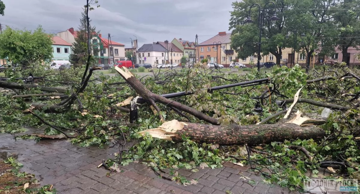 Ponad 500 000 zł trafi do gminy Drobin. Na usuwanie skutków nawałnicy