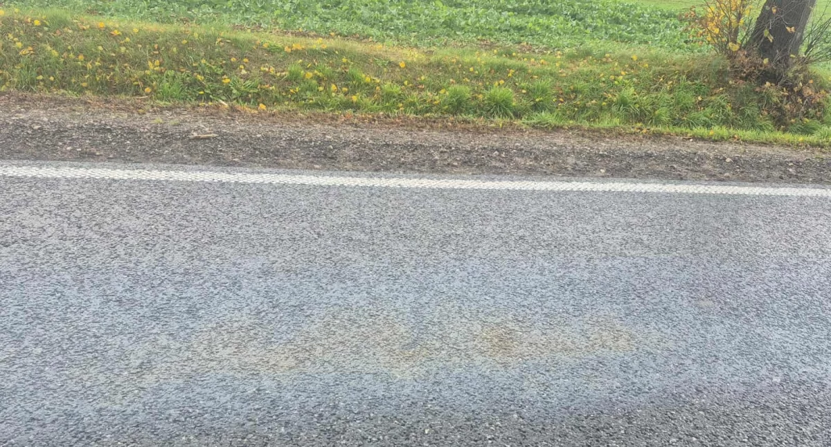 Zablokowana DK-60. Niebezpieczne plamy na odcinku kilku kilometrów [AKTUALIZACJA]