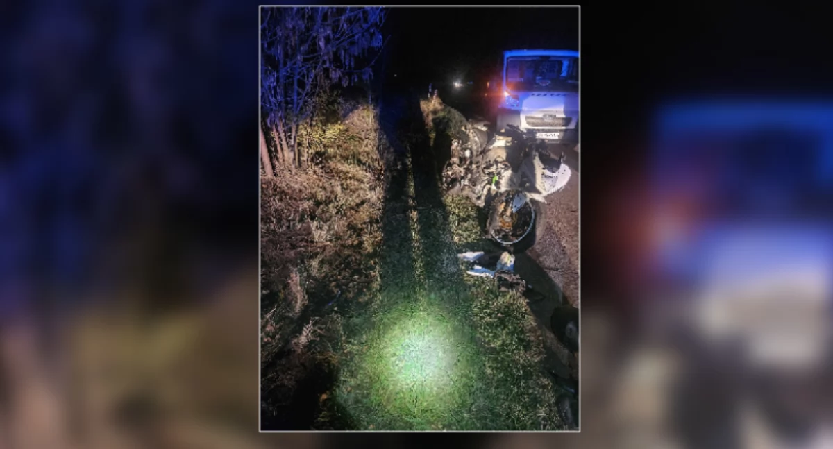 Sarna wyskoczyła prosto przed nadjeżdżający motocykl. Wypadek w Nowej Górze 