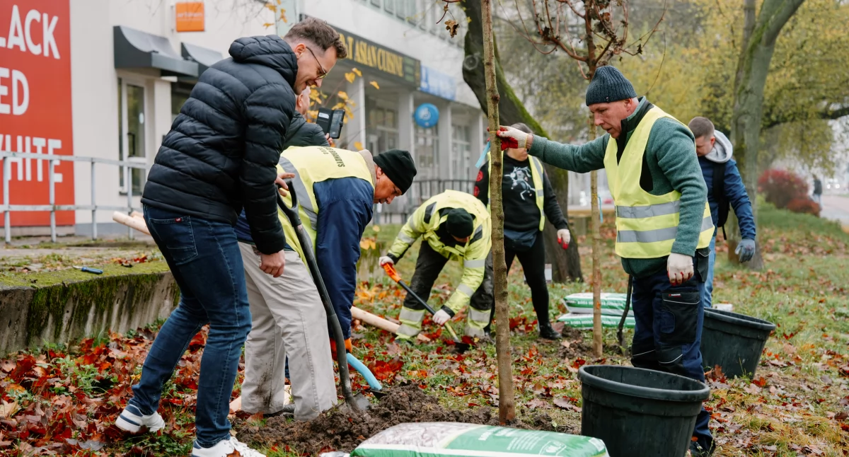 Na płockich ulicach przybywa drzew. Także dzięki najmłodszym mieszkańcom miasta