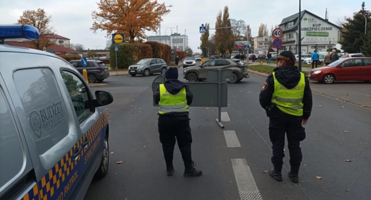 Straż Miejska w Płocku alarmuje. Coraz więcej kierowców jeździ bez uprawnień
