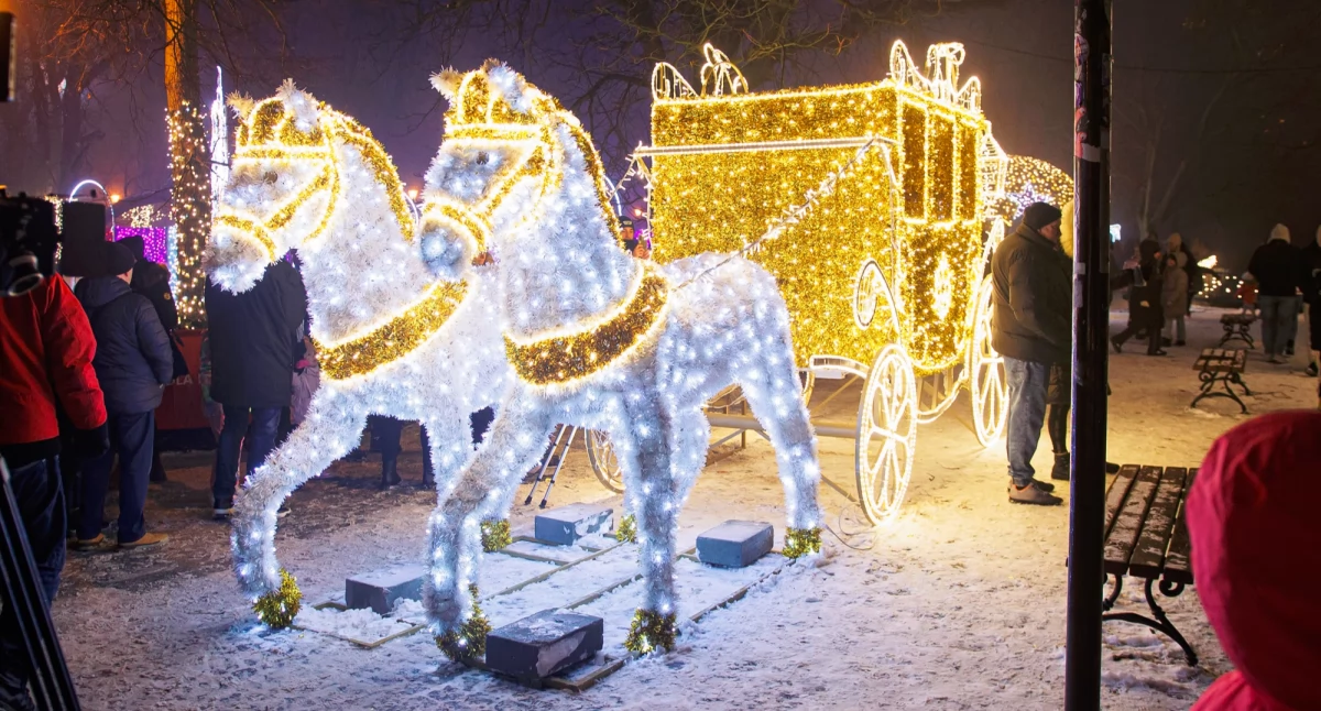 Płockie Ogrody Światła rozbłysną po raz kolejny! Już jutro inauguracja świątecznej iluminacji 