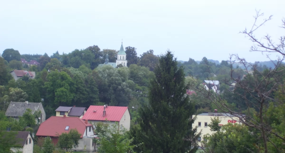 Po mazowieckiej Opinogórze jest to drugie miejsce w Polsce, w którym zachowało się najwięcej pamiątek po polskim wieszczu narodowym Zygmuncie Krasińskim. Tajemnice Złotego Potoku