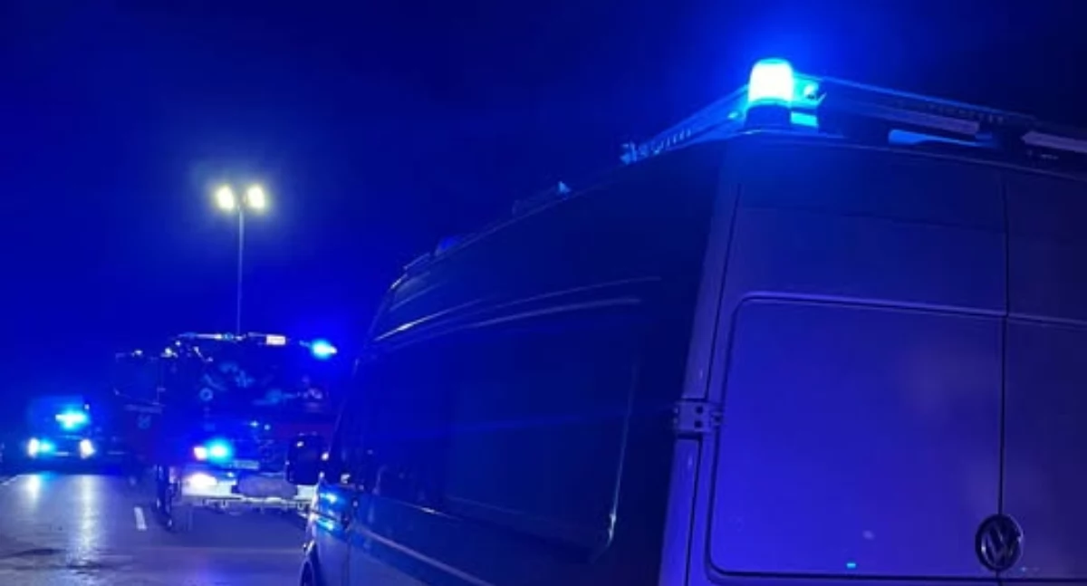 Łoś wyszedł na drogę. 3 osoby, w tym dwóje dzieci trafiło do szpitala