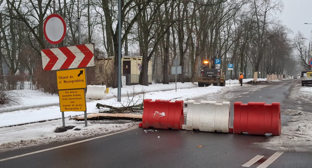 Remont ul. Wyszogrodzkiej w Płocku. Co się dzieje z drzewami?